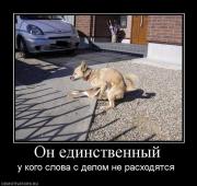 Прикрепленное изображение: 33.jpg