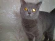 Прикрепленное изображение: 18022010029.jpg