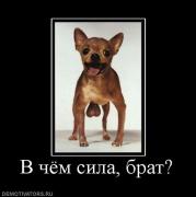 Прикрепленное изображение: 193514_v_chyom_sila_brat.jpg