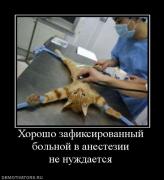 Прикрепленное изображение: 232135_horosho_zafiksirovannyij_bolnoj_v_anestezii_ne_nuzhdaetsya.jpg