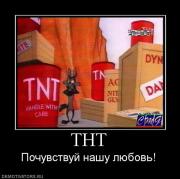 Прикрепленное изображение: 613937_tnt.jpg