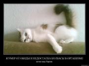 Прикрепленное изображение: x_3c6d7729.jpg