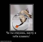 Прикрепленное изображение: x_09899cd0.jpg