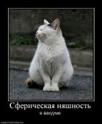 Прикрепленное изображение: 552919_sfericheskaya_nyashnost.jpg