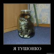 Прикрепленное изображение: x_806ba626.jpg