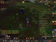 Прикрепленное изображение: WoWScrnShot_031310_130604.JPG