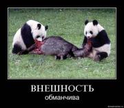 Прикрепленное изображение: x_c08ce14a.jpg