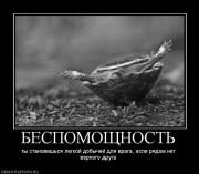 Прикрепленное изображение: 823679_bespomoschnost.jpg