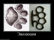 Прикрепленное изображение: 936804_evolyutsiya.jpg
