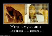 Прикрепленное изображение: 192006_zhizn_muzhchinyi.jpg