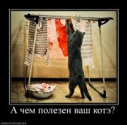Прикрепленное изображение: 648931_a_chem_polezen_vash_kote.jpg
