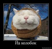 Прикрепленное изображение: 1262518597_862660_ja_kolobok.jpg