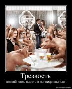 Прикрепленное изображение: 1269157335_483898_trezvost.jpg