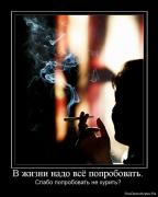 Прикрепленное изображение: 1267872245_464296_v_zhizni_nado_vsyo_poprobovat.jpg