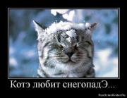 Прикрепленное изображение: 1268240260_374357_361095.jpg