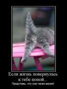 Прикрепленное изображение: 1136735M.jpg