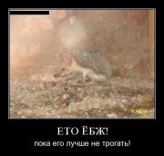 Прикрепленное изображение: 1124279Q.jpg