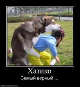 Прикрепленное изображение: 1134243G.jpg