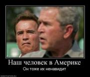 Прикрепленное изображение: 11375945.jpg