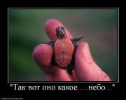 Прикрепленное изображение: 1132918S.jpg