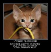 Прикрепленное изображение: 112830B4.jpg