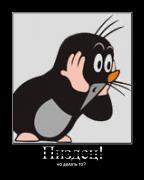 Прикрепленное изображение: 1229111354982.jpg