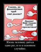 Прикрепленное изображение: 11367329.jpg