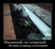 Прикрепленное изображение: 11367325.jpg