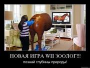 Прикрепленное изображение: 11188738.jpg