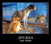 Прикрепленное изображение: 11098973.jpg