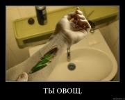 Прикрепленное изображение: 11074358.jpg