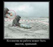 Прикрепленное изображение: 1139450P.jpg