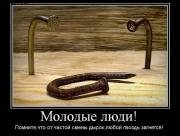 Прикрепленное изображение: 1138676E.jpg