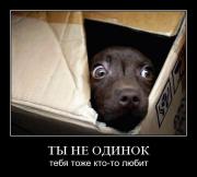 Прикрепленное изображение: 110742AM.jpg