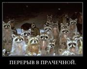 Прикрепленное изображение: 112427AM.jpg