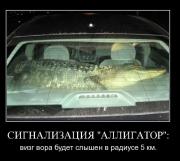 Прикрепленное изображение: 1119991G.jpg