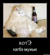 Прикрепленное изображение: rxf4x4aenc12.jpg