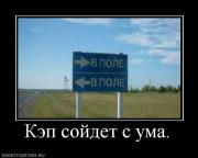 Прикрепленное изображение: 13341_kep_sojdet_s_uma.jpg