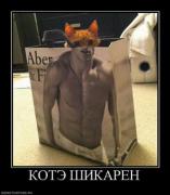 Прикрепленное изображение: 219262_kote_shikaren.thumbnail.jpg