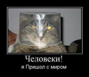 Прикрепленное изображение: image9s.jpeg