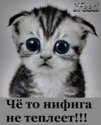 Прикрепленное изображение: x_2f2f2625.jpg