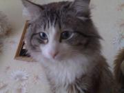 Прикрепленное изображение: 230320081767.jpg