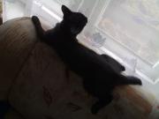 Прикрепленное изображение: 020420081854.jpg