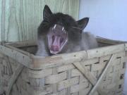 Прикрепленное изображение: DSC00476.JPG