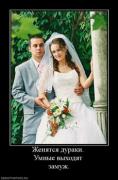 Прикрепленное изображение: 232664_zhenyatsya_duraki_umnyie_vyihodyat_zamuzh.thumbnail.jpg