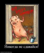 Прикрепленное изображение: 443126_nikogda_ne_sdavajsya.thumbnail.jpg