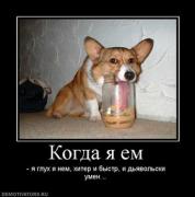 Прикрепленное изображение: 663557_kogda_ya_em.thumbnail.jpg
