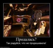 Прикрепленное изображение: 371178_prodalas.thumbnail.jpg