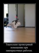 Прикрепленное изображение: s3img_12398122_9906_0.jpg