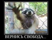 Прикрепленное изображение: s3img_12398122_9940_0.jpg